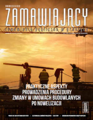 zamawiajacy-nr-21-233x300